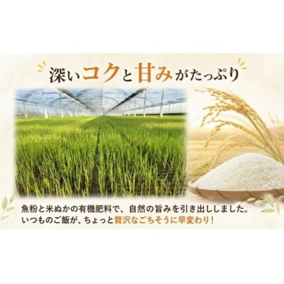 グルメな外国人農家こだわりのお米こしひかり白米 10kg 《2025年産》 [0941-6]