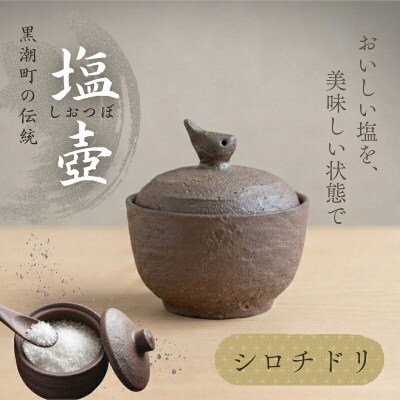 シロチドリの塩壷 [1489]