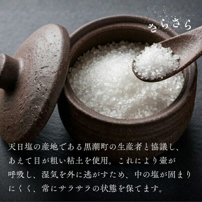 シロチドリの塩壷 [1489]