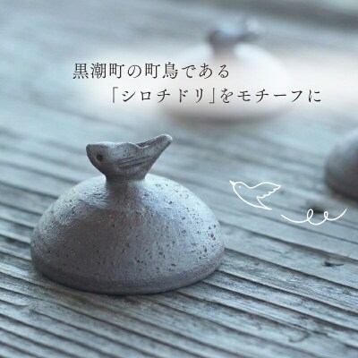 シロチドリの塩壷 [1489]