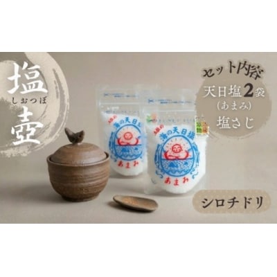 シロチドリの塩壷と塩さじのセット(土佐の海の天日塩「あまみ」 2袋付き) [1653]