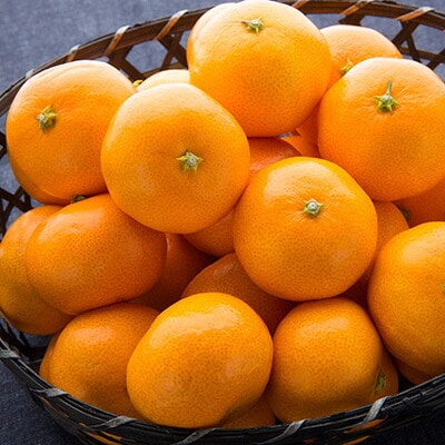 商標登録 潮風みかん 2kg 高知県 黒潮町産 [1398-2]
