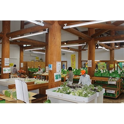 2021年10月発送開始『定期便』やくらい土産センター直送野菜セット(10品程度)全3回