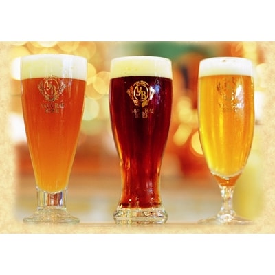 【本場ドイツ仕込み】やくらいクラフトビール3種&贅沢おつまみ3種(牛タン・ハム・ソーセージ)