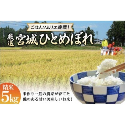 【毎月定期便】【ごはんソムリエ絶賛】厳選!宮城県産ひとめぼれ　精米5kg全12回