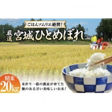 【毎月定期便】【ごはんソムリエ絶賛】厳選!宮城県産ひとめぼれ 精米20kg全6回