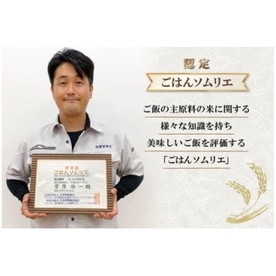 【毎月定期便】【ごはんソムリエ絶賛】厳選!宮城県産ひとめぼれ　精米20kg全12回