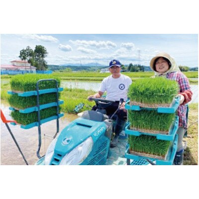 【毎月定期便】【ごはんソムリエ絶賛】厳選!宮城県産ひとめぼれ　精米10kg全3回