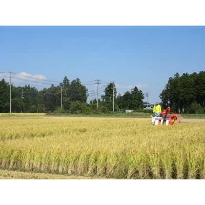 2022年2月発送開始『定期便』【ごはんソムリエ絶賛】厳選!宮城県産ひとめぼれ精米10kg　全6回