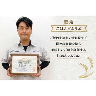 2023年5月発送開始『定期便』【ごはんソムリエ絶賛】厳選!宮城県産ひとめぼれ　精米10kg全3回