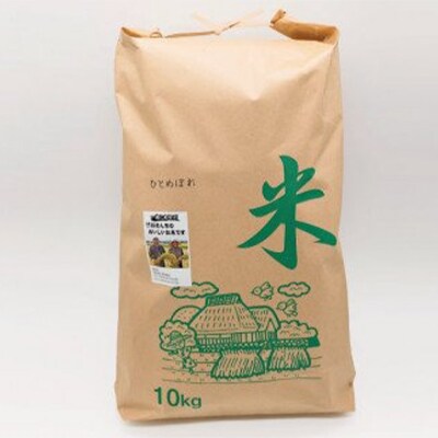 2023年5月発送開始『定期便』【ごはんソムリエ絶賛】厳選!宮城県産ひとめぼれ　精米10kg全3回