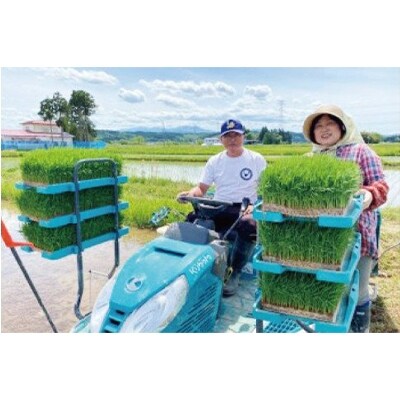 2022年12月発送開始『定期便』【ごはんソムリエ絶賛】厳選!宮城県産ひとめぼれ　精米5kg全12回