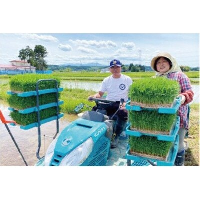 2022年8月発送開始『定期便』【ごはんソムリエ絶賛】厳選!宮城県産ひとめぼれ　精米10kg全6回