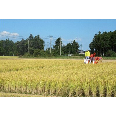 2023年5月発送開始『定期便』【ごはんソムリエ絶賛】厳選!宮城県産ひとめぼれ　精米20kg全6回