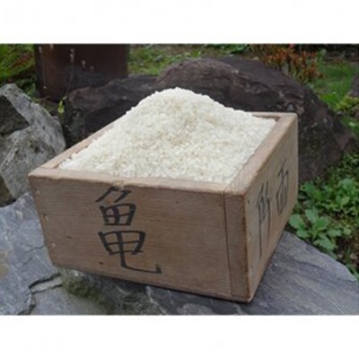 【毎月定期便】希少品種「ササシグレ」精米5kg 全3回