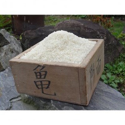 【毎月定期便】希少品種「ササシグレ」精米10kg全3回