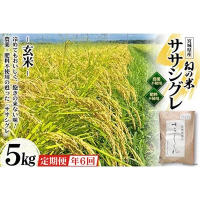 【毎月定期便】希少品種「ササシグレ」玄米5kg全6回