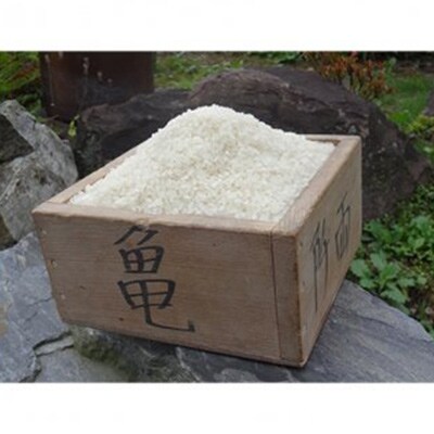 【毎月定期便】希少品種「ササシグレ」玄米5kg全6回