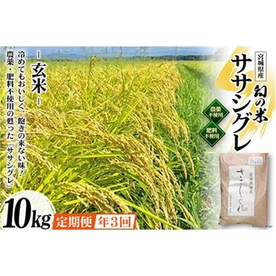 【毎月定期便】希少品種「ササシグレ」玄米10kg 全3回