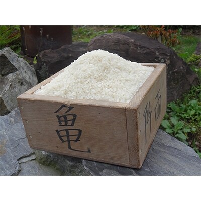 2022年2月発送開始『定期便』【希少品種米】宮城県産「ササシグレ」精米5kg　全3回