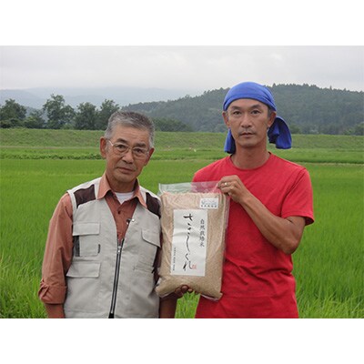 2022年12月発送開始『定期便』栽培期間中農薬・肥料不使用　希少品種「ササシグレ」玄米5kg全3回