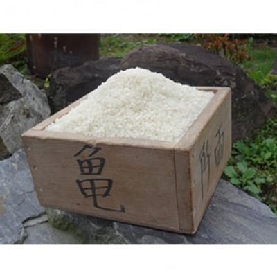 2023年8月発送開始『定期便』栽培期間中農薬・肥料不使用　「ササシグレ」精米10kg全3回