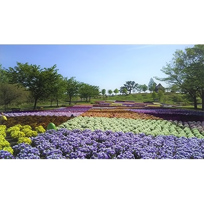 やくらいガーデン　入園券　4枚