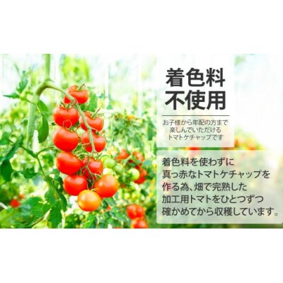 とまとケチャップ 380g×2個　JA加美よつば
