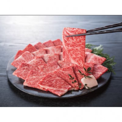 銀座吉澤 宮城県 加美町 仙台牛 ロース焼肉たれセット (500g)