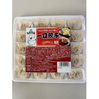 長崎県島原名物具雑煮・一口餃子セット