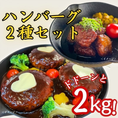 ドドーンと2kg!ハンバーグ2種セット