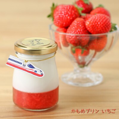 かもめプリン5種8個セット