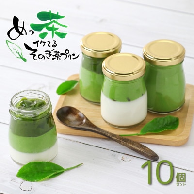 めっ茶イケてるそのぎ茶プリン10個セット