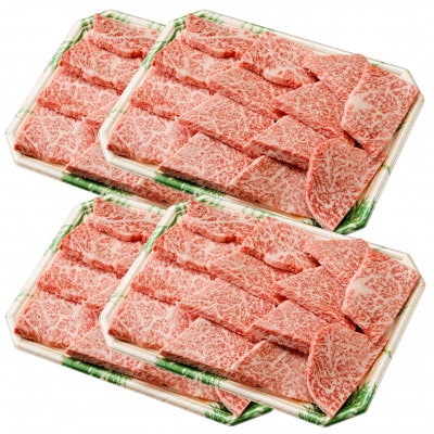 長崎和牛 焼肉セット モモ肉メイン1.2kg
