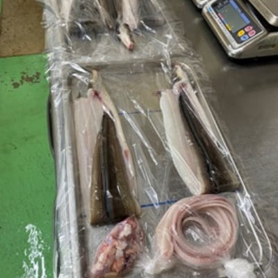 長﨑俵物　加工品セット(夏)