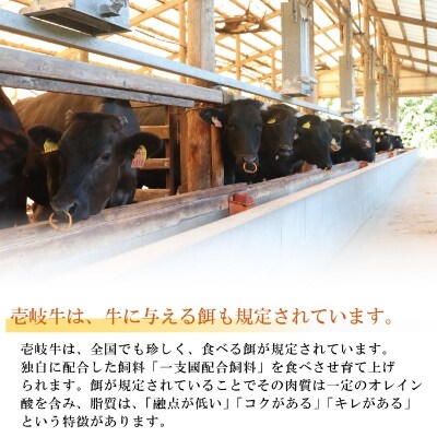 壱岐牛生ハンバーグ150g/化粧箱5個セット
