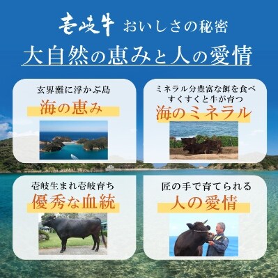 壱岐牛サーロインステーキ(雌)250g/化粧箱2枚セット