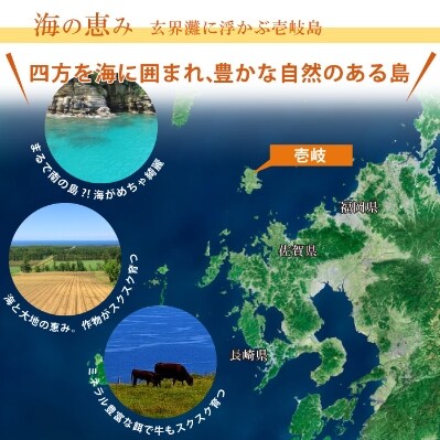 壱岐牛サーロインステーキ(雌)250g/化粧箱2枚セット