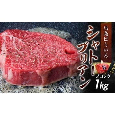長崎和牛 出島ばらいろ シャトーブリアンブロック　約1kg
