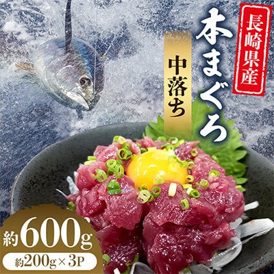 長崎県産本まぐろ中落ち　約600g