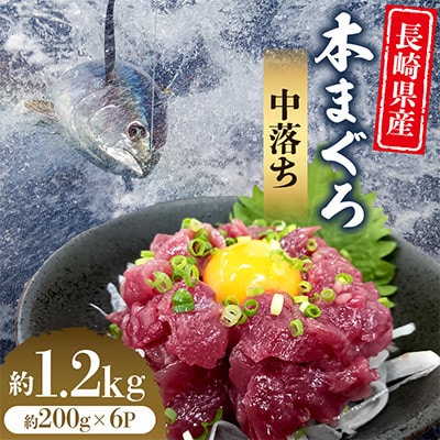 長崎県産本まぐろ中落ち　約1.2kg