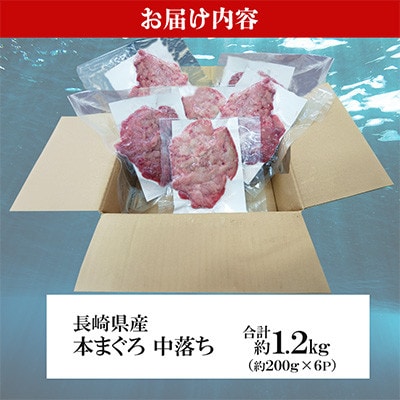 長崎県産本まぐろ中落ち　約1.2kg