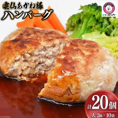 雲仙あかね豚　ハンバーグ