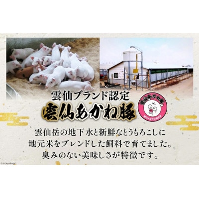 雲仙あかね豚　ハンバーグ