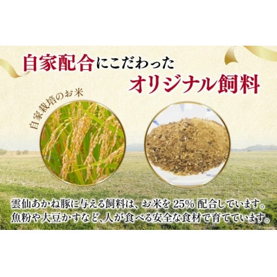 雲仙あかね豚　ハンバーグ