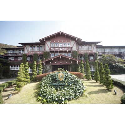 高級ホテルオリジナル「ゴルゴンゾーラベイクドチーズケーキ」1個