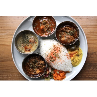 カレーライフの冷凍スパイスカレー4種 計9食セット