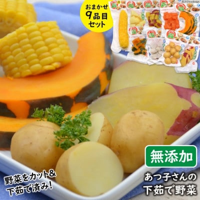 雲仙ブランド認定商品 あつ子さんの下茹で野菜 9品目セット
