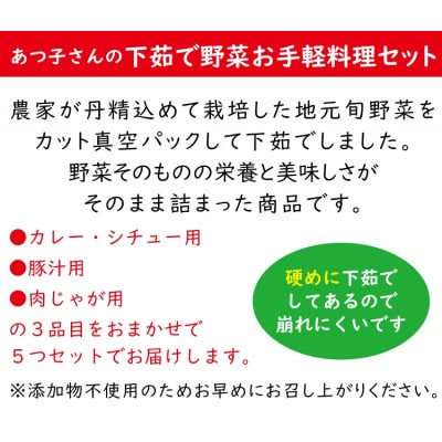 雲仙ブランド認定商品 あつ子さんの下茹で野菜お手軽料理 5品目セット