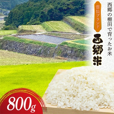 雲仙ブランド認定商品　「西郷米」白米　800g　化粧箱入